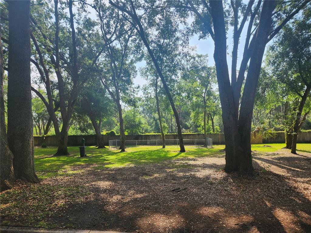 2247 Golden Oak Lane Valrico, FL 33594 - Photo 9 of 9 a view of a yard with a tree
