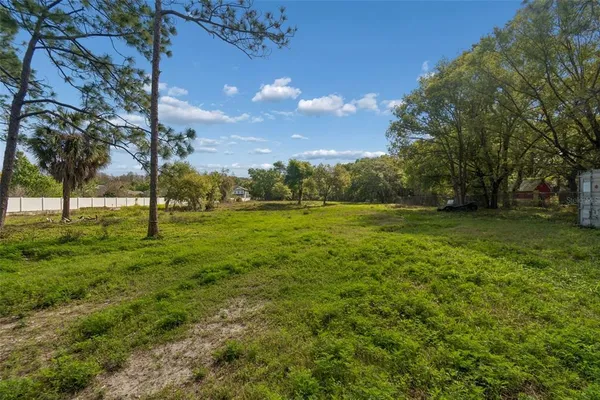 a view of a park with a tree