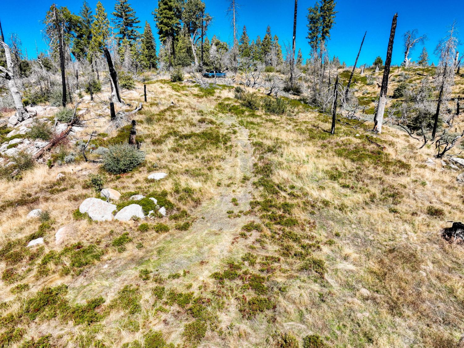 11111 Lower Cressman Road Shaver Lake, CA 93664 - Photo 22 of 23
