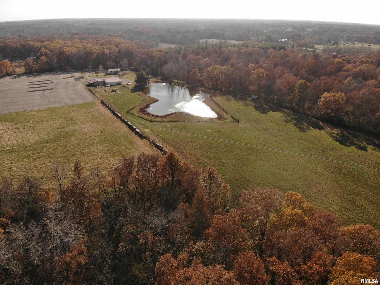 7003 River Road Iuka, IL 62849 - Photo 11 of 50