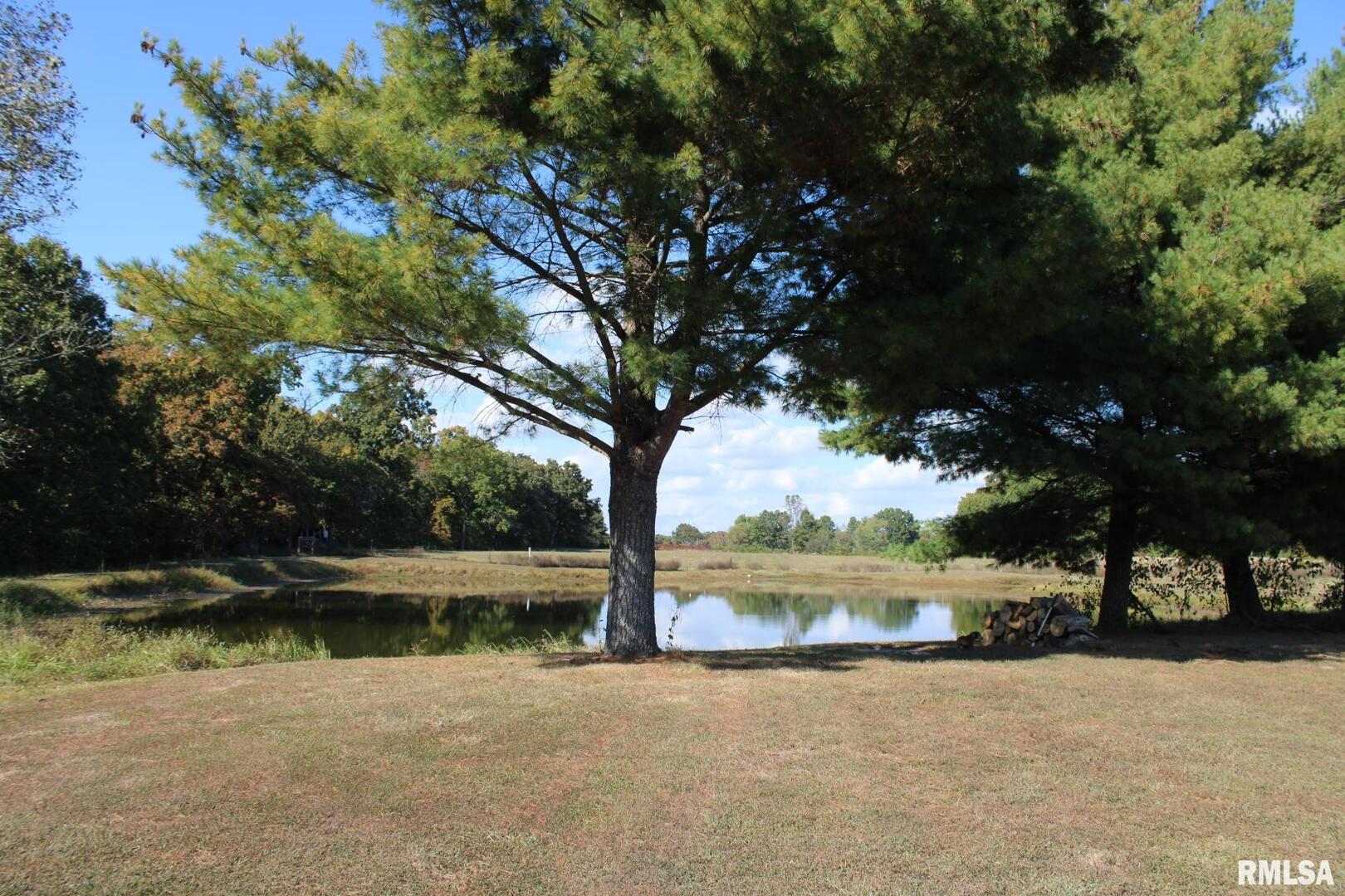 7003 River Road Iuka, IL 62849 - Photo 13 of 50