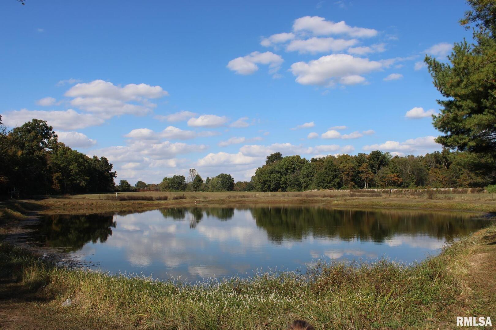 7003 River Road Iuka, IL 62849 - Photo 14 of 50