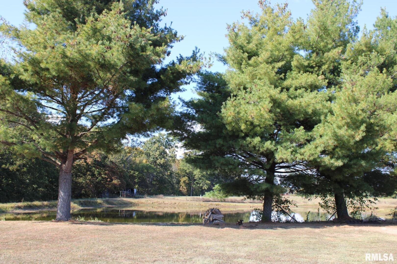 7003 River Road Iuka, IL 62849 - Photo 16 of 50