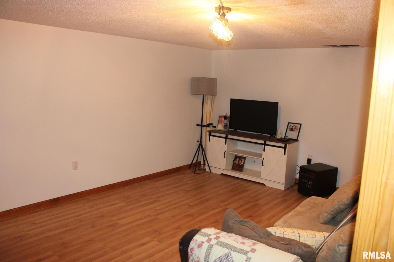 7003 River Road Iuka, IL 62849 - Photo 21 of 50