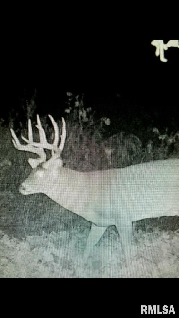 7003 River Road Iuka, IL 62849 - Photo 49 of 50