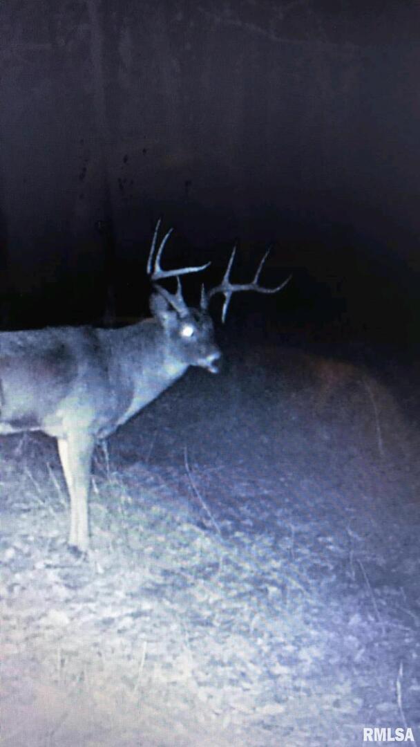 7003 River Road Iuka, IL 62849 - Photo 50 of 50