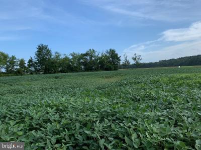 a view of a field with grass and trees