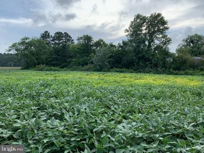 0 Grays Corner Road Berlin, MD 21811 - Photo 3 of 3 an aerial view of residential space with outdoor space