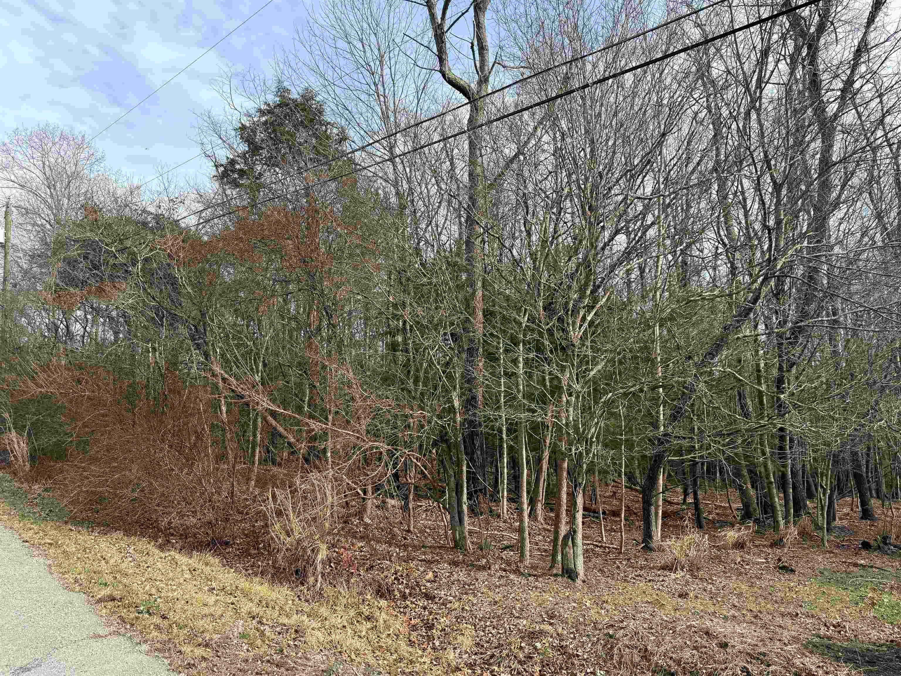 Tbd Country Acres Road Blacksburg, VA 24060 - Photo 4 of 5 Gallery Image 4