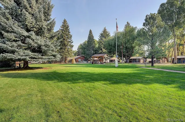 a view of a park with trees and trees
