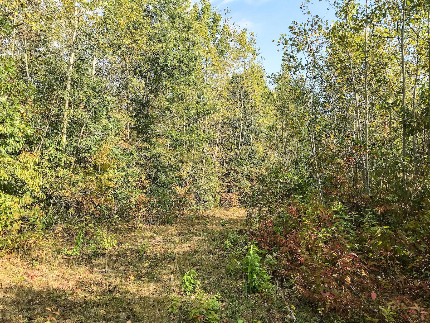 0 Sardis Emory Road Oak Hill, OH 45656 - Photo 13 of 31