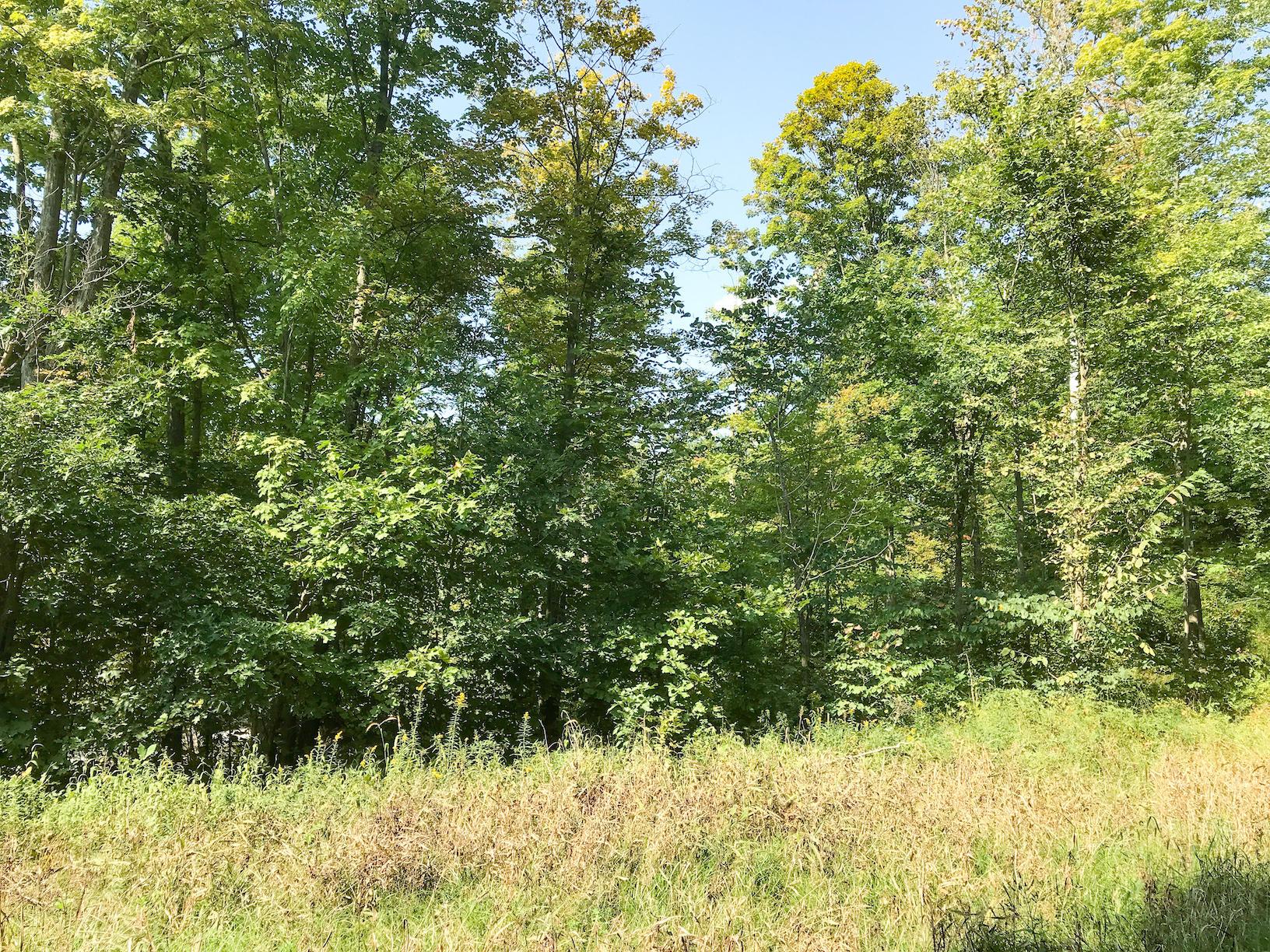 0 Sardis Emory Road Oak Hill, OH 45656 - Photo 30 of 31