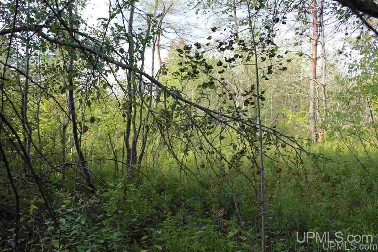 23827 Hulkonen Road Nisula, MI 49952 - Photo 11 of 44 Gallery Image 11