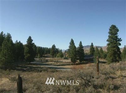 22 Horizon Flat Road Winthrop, WA 98862 - Photo 1 of 1 Gallery Image 1