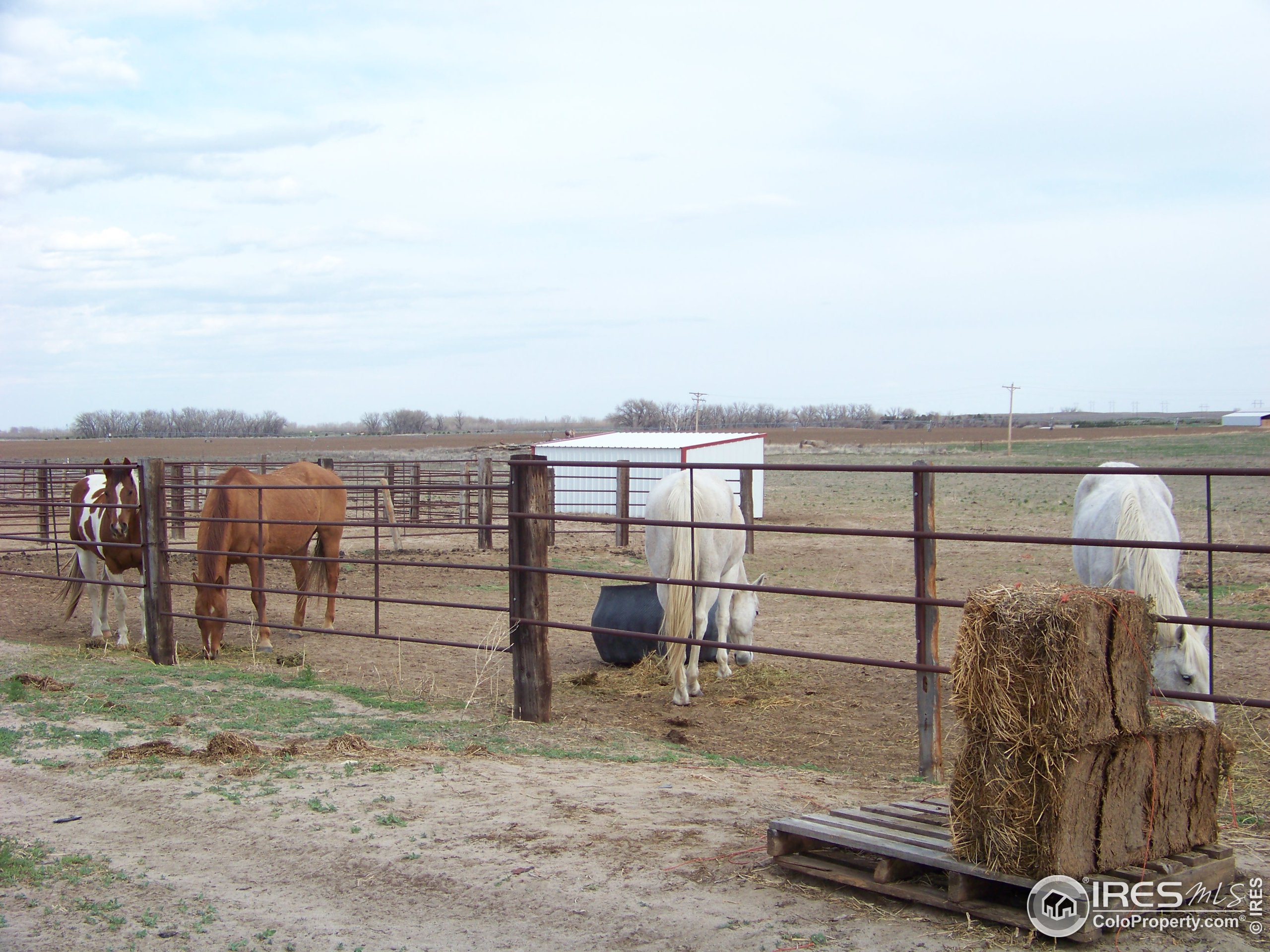 8341 County Road Weldona, CO 80653 - Photo 18 of 22 Gallery Image 18