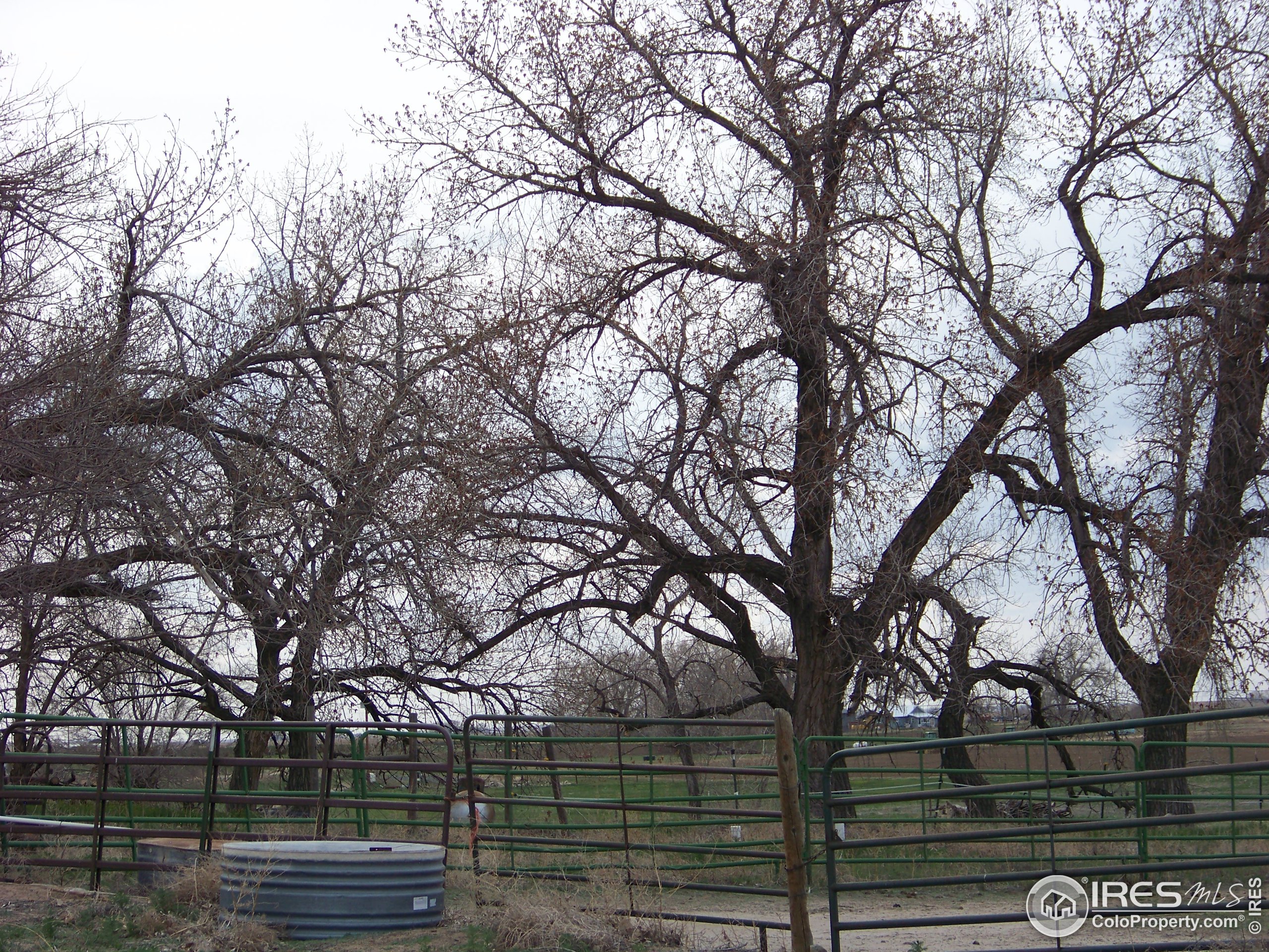 8341 County Road Weldona, CO 80653 - Photo 22 of 22 Gallery Image 22