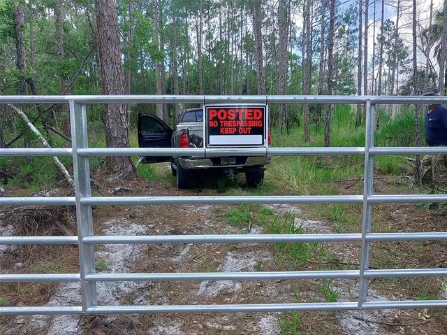 a outdoor view from a window