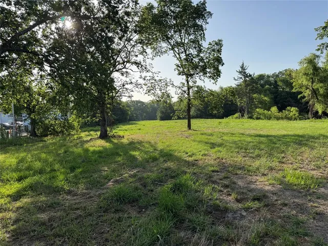 a view of a yard with plants and trees