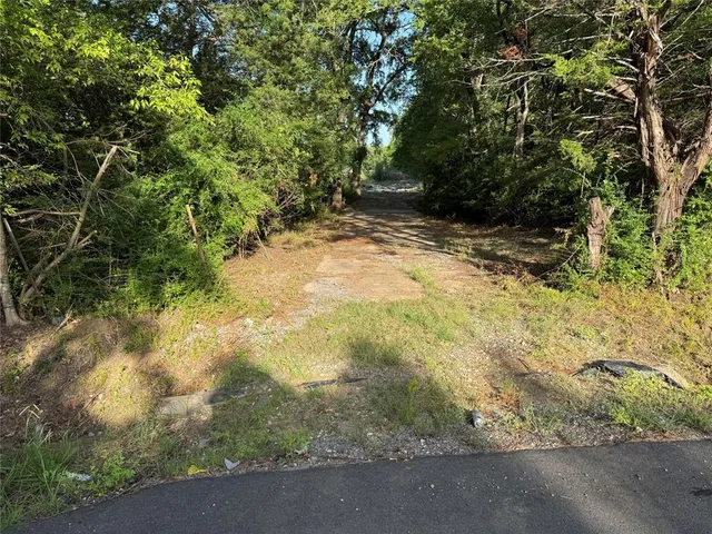 a view of a lush green space