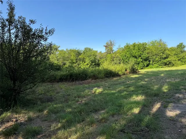 a view of field with trees in the background