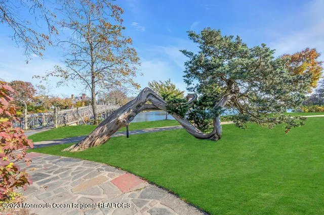 a view of a garden with a tree
