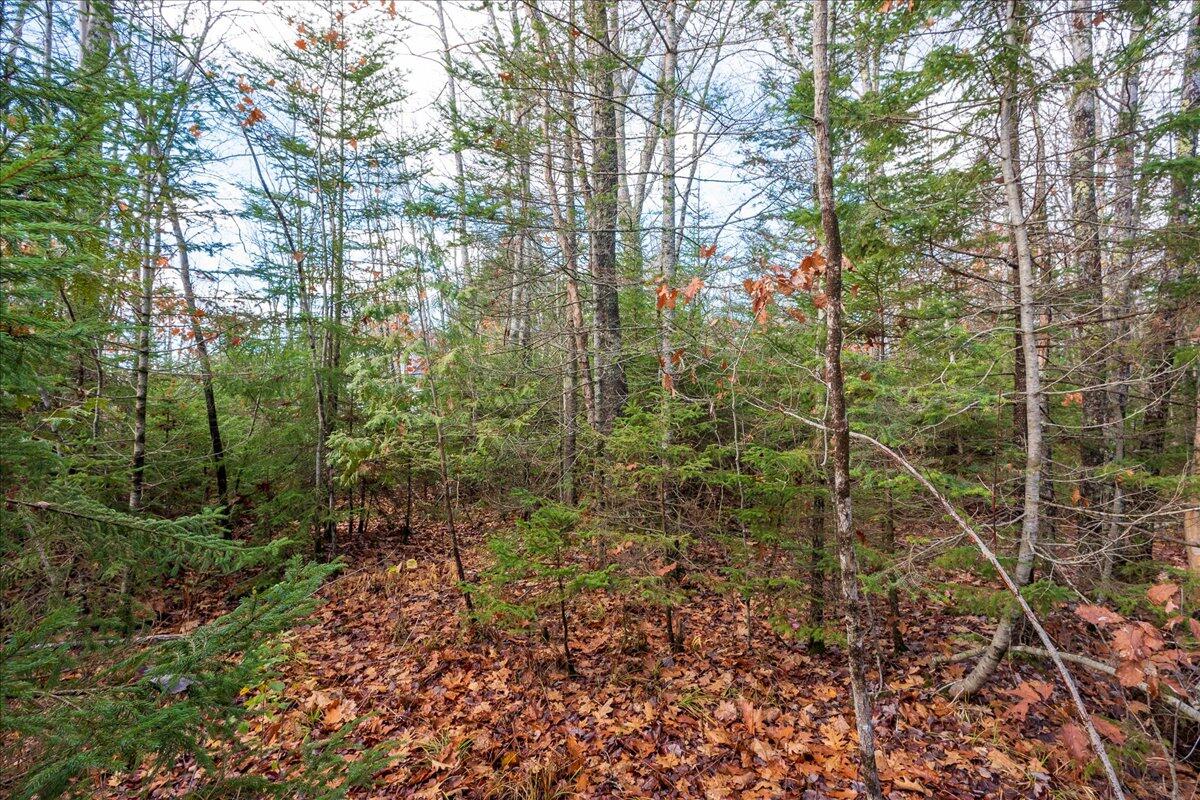 Lot 24 Cushing Road Cushing, ME 04563 - Photo 30 of 36 29-M7 Lot 24-29
