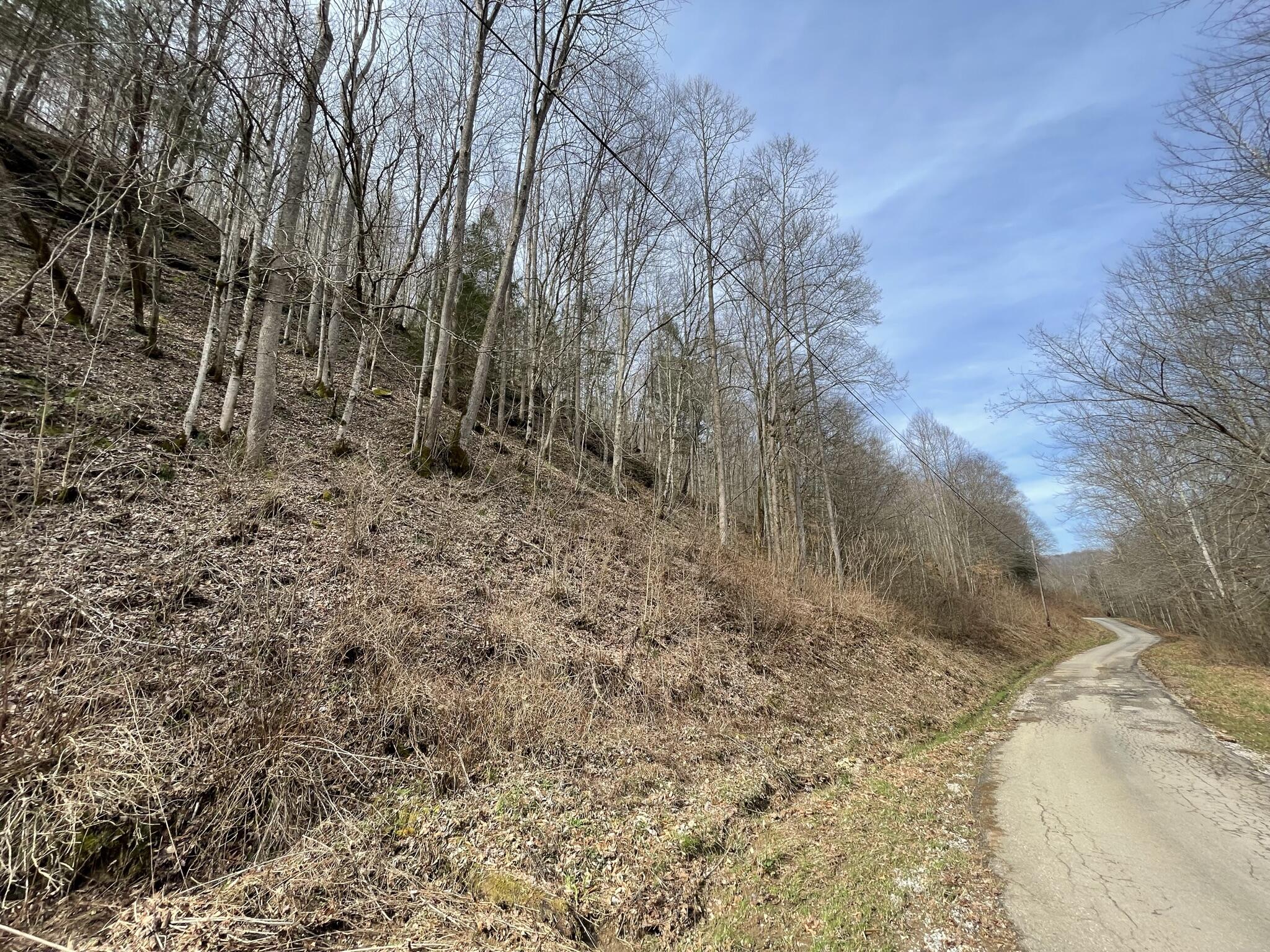 9999 Trace Branch Road Walker, KY 40997 - Photo 9 of 25 IMG_6494