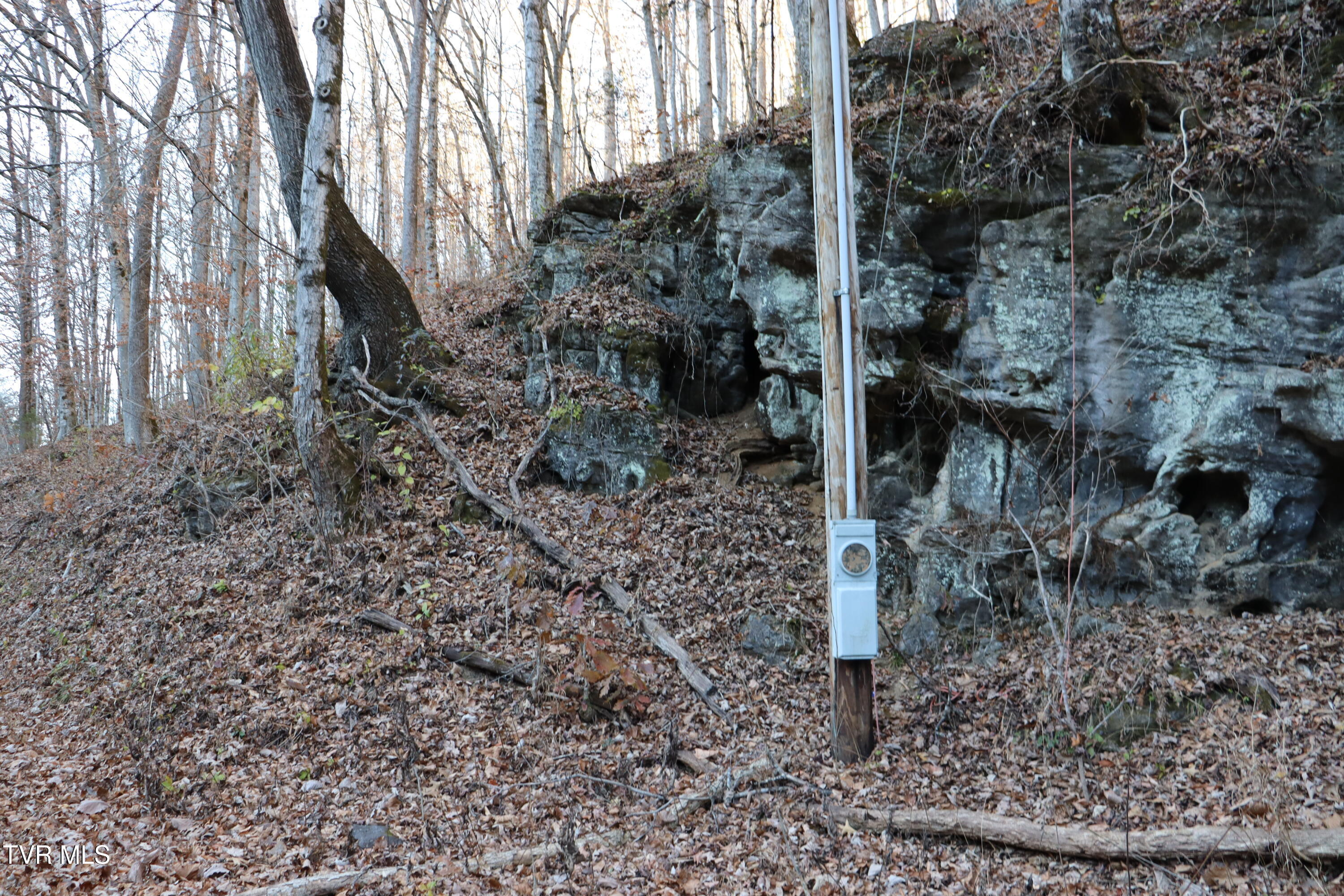 Tbd Tbd Sulphur Springs Road Pennington Gap, VA 24277 - Photo 38 of 39 IMG_0556