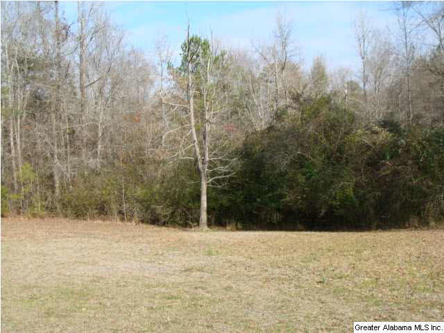 13899 Milldale Road Brookwood, AL 35444 - Photo 21 of 22