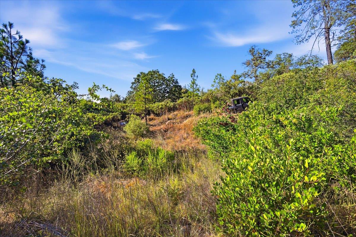 17436 Black Forest Road Penn Valley, CA 95946 - Photo 34 of 36