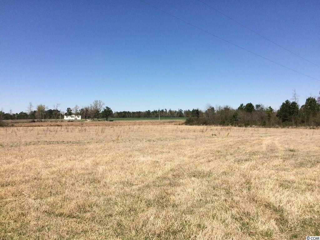 6.11 Johnson Shortcut Road Galivants Ferry, SC 29544 - Photo 3 of 3 Gallery Image 3