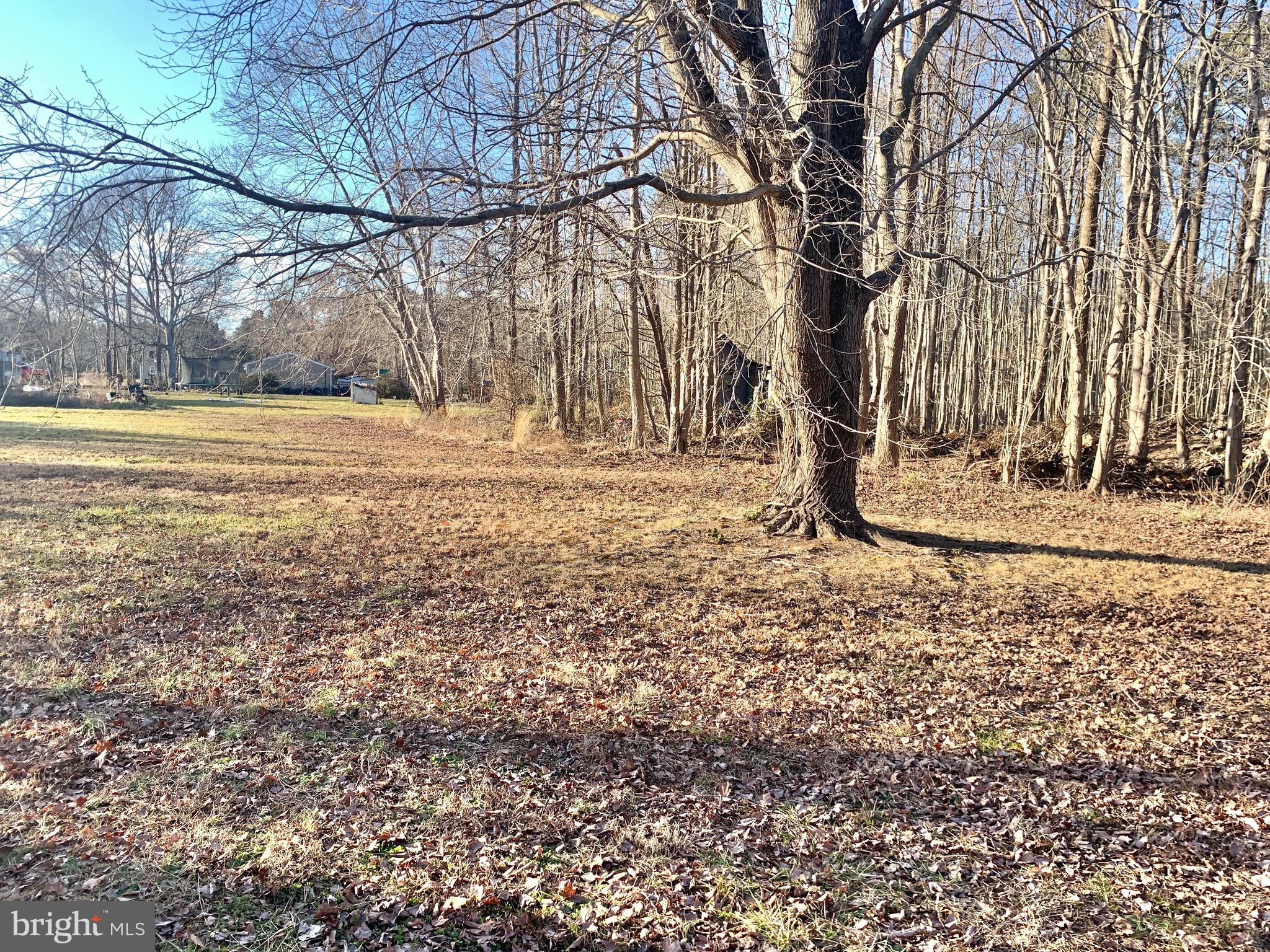 Cleared area