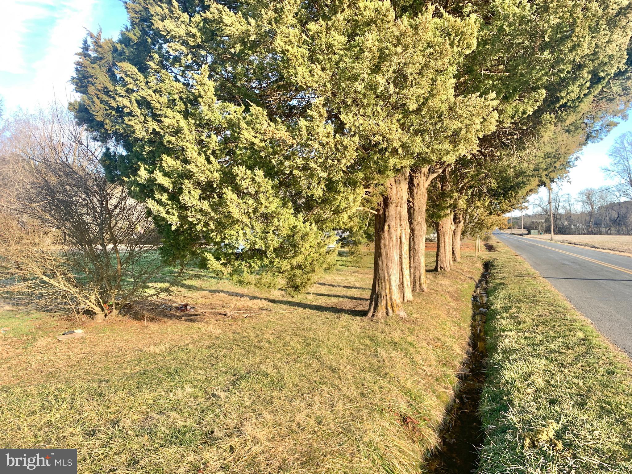 Trees lining the front of the 2 acre property