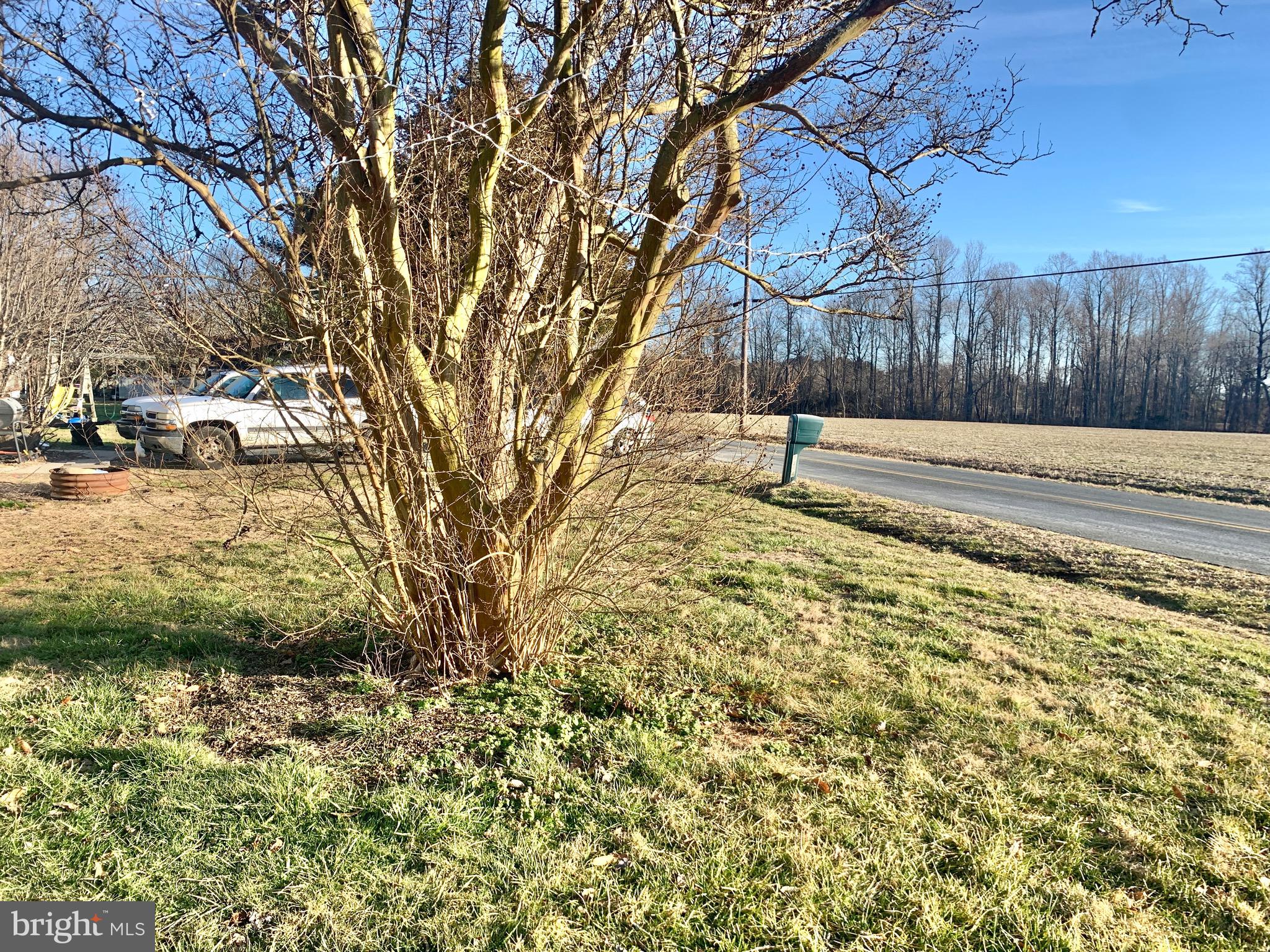 Roadside view from front yard