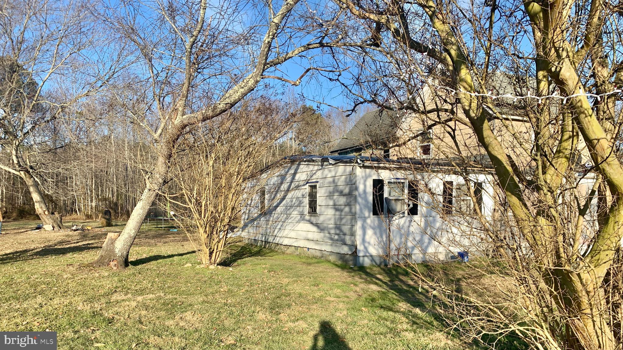 31384 Bruceville Road Trappe, MD 21673 - Photo 10 of 16 Home view and side yard
