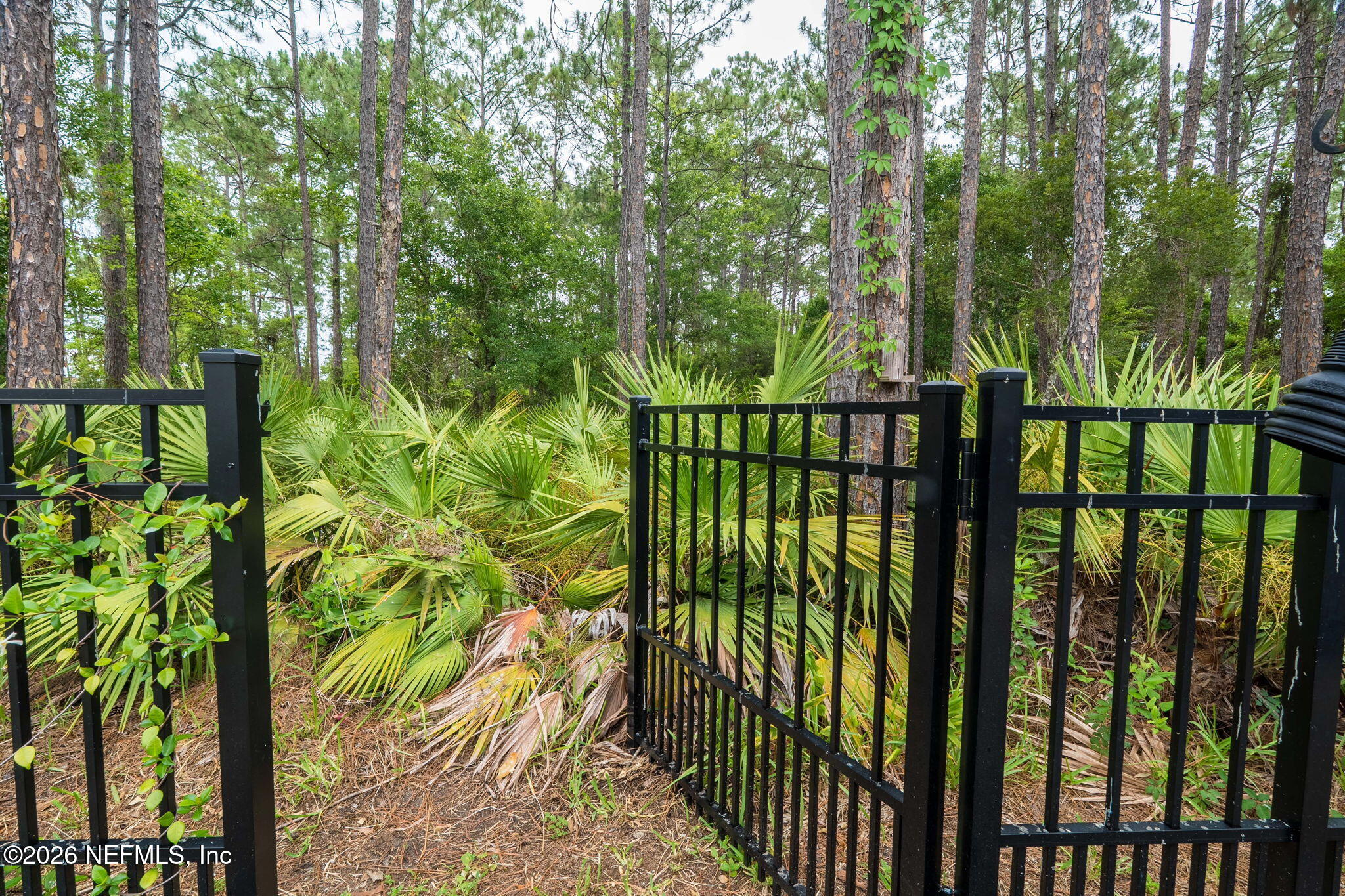 2393 Rusty Lakes Lane Jacksonville, FL 32221 - Photo 28 of 44 ISO_2393 Rusty Lake Ln_JAX_039