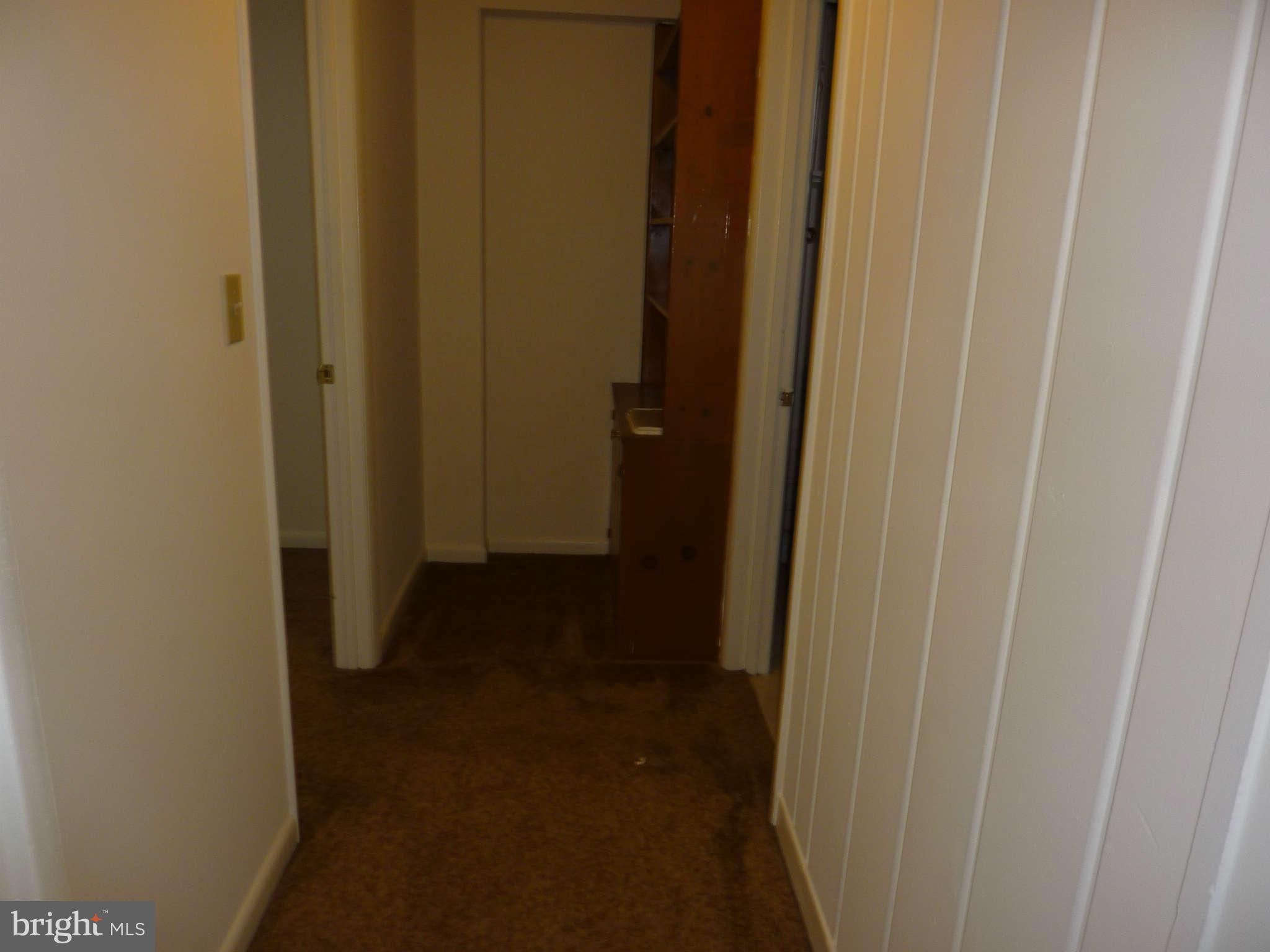 1133 Loxford Terrace Silver Spring, MD 20901 - Photo 27 of 30 Interior (General) - Lower Level Hallway