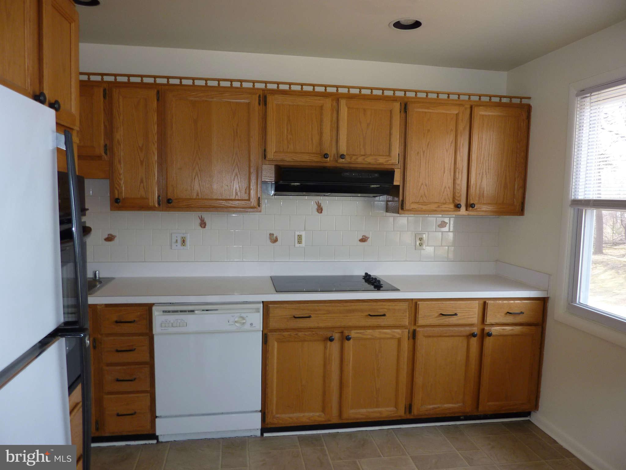 1133 Loxford Terrace Silver Spring, MD 20901 - Photo 5 of 30 Kitchen - With View of Dishwasher