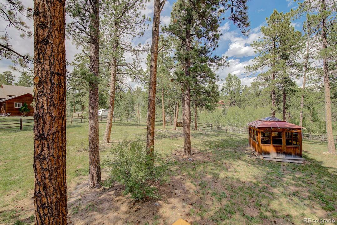 25 Buggy Whip Road Bailey, CO 80421 - Photo 34 of 40 a view of a house with a yard and a tree