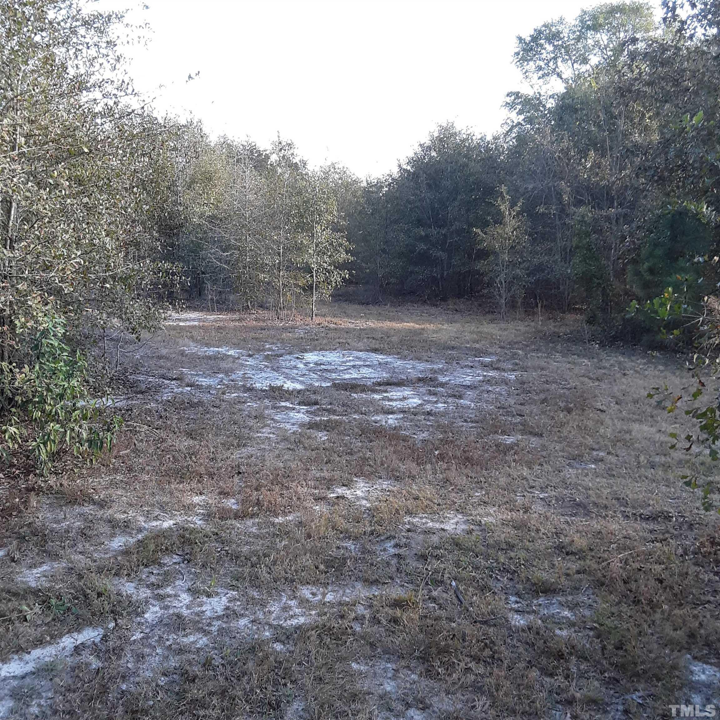 885 Tart Road Dunn, NC 28334 - Photo 2 of 6 a view of a field with trees in the background