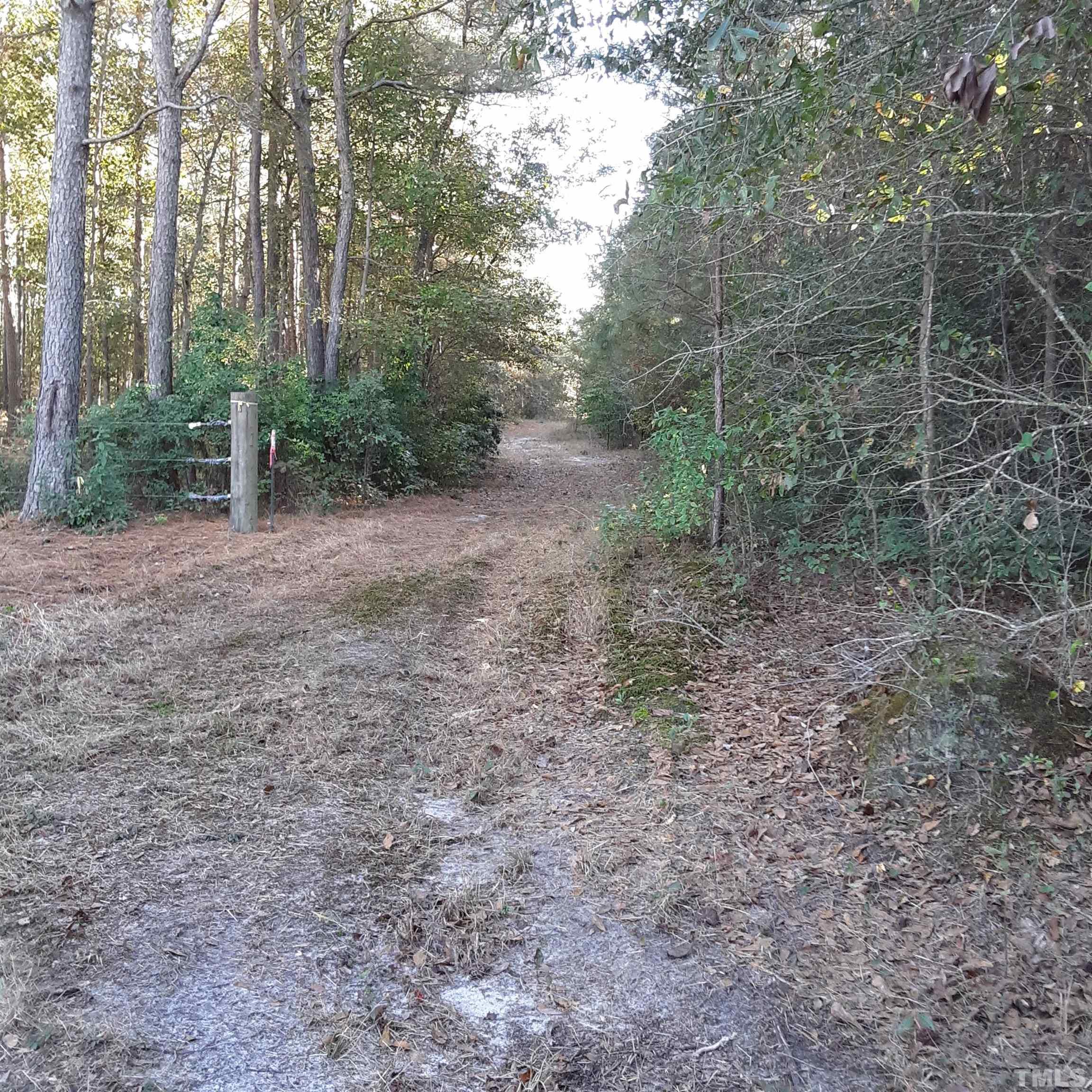 885 Tart Road Dunn, NC 28334 - Photo 6 of 6 a view of a forest with trees in the background