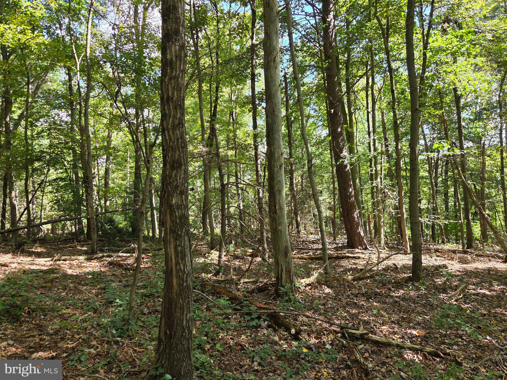 410 Buckwheat Valley Road Millerstown, PA 17062 - Photo 24 of 37 Gallery Image 24