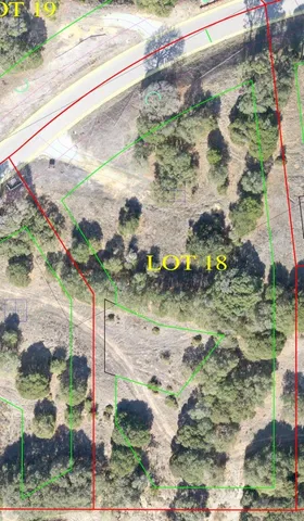 a view of a dry yard with plants and trees