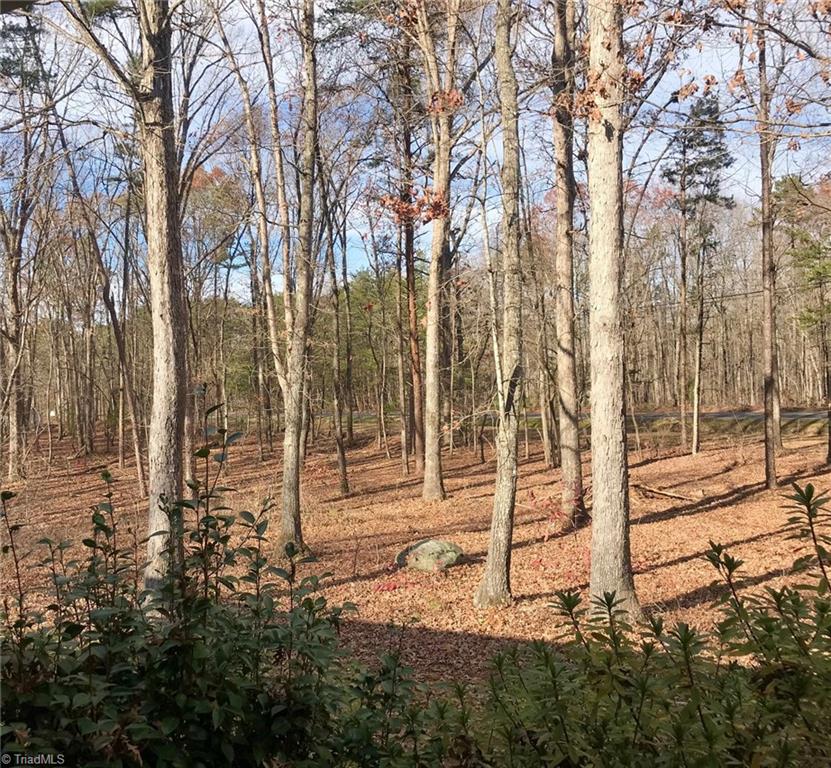 938 Shirley Road Lexington, NC 27292 - Photo 18 of 19 Gallery Image 18
