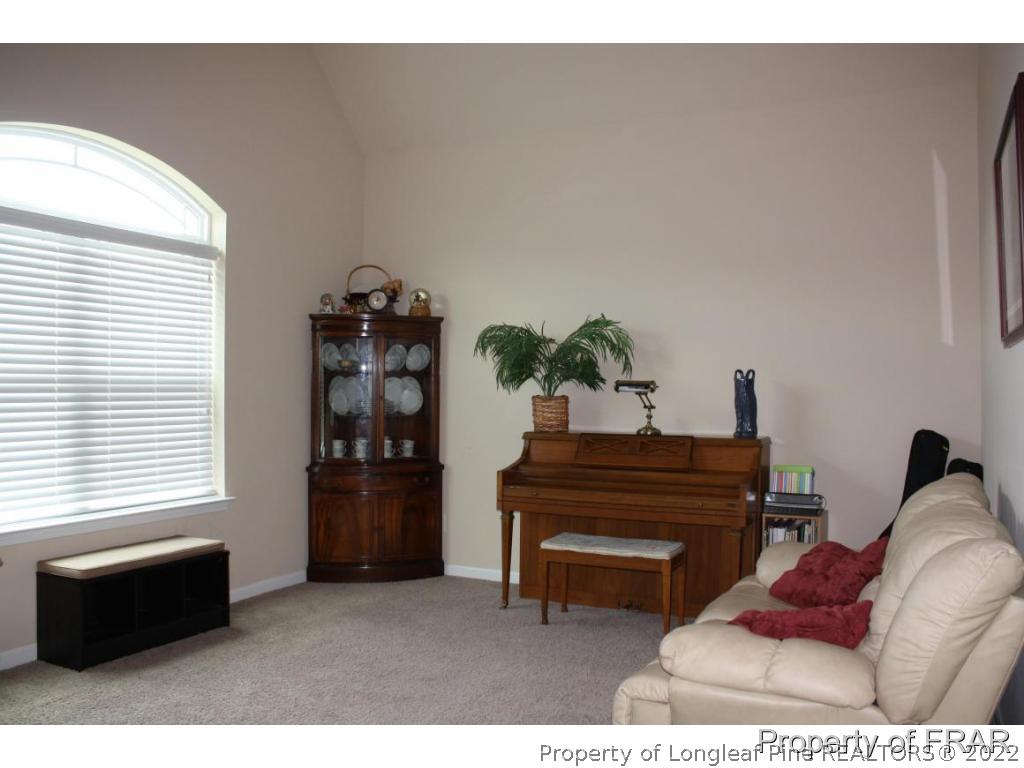 50 Ticonderoga Road Cameron, NC 28326 - Photo 5 of 34 Gallery Image 5