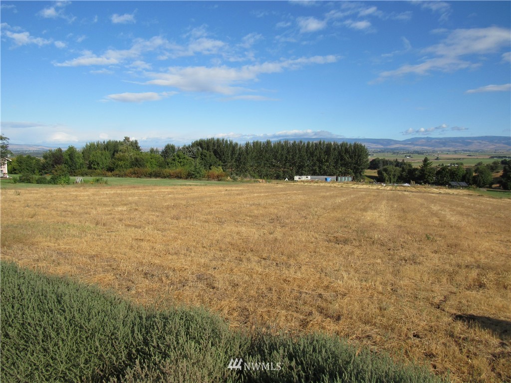 8-lot Edgemont Loop Road Ellensburg, WA 98926 - Photo 3 of 6 Gallery Image 3