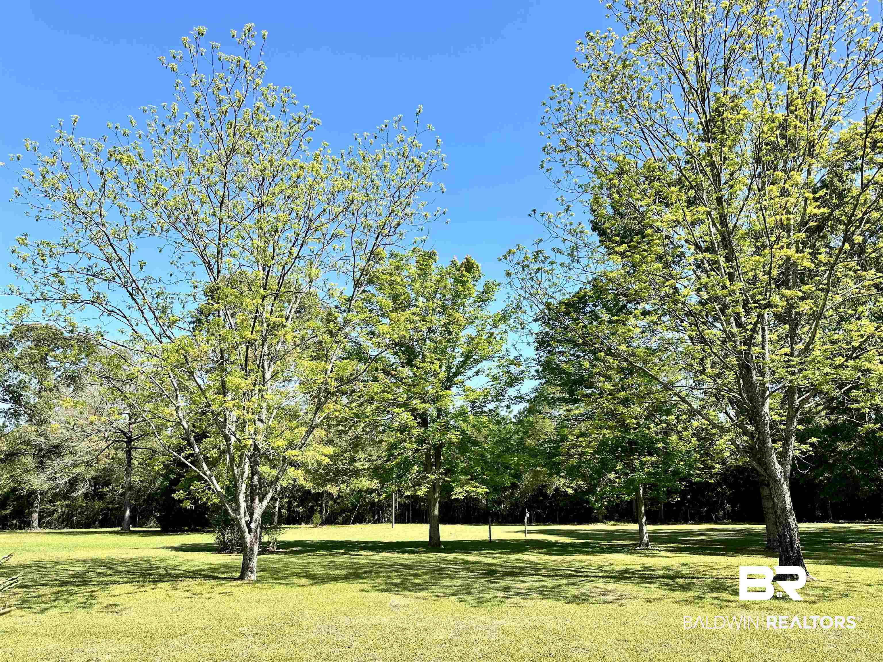 1185 Tippens Eddy Road Brewton, AL 36426 - Photo 18 of 21