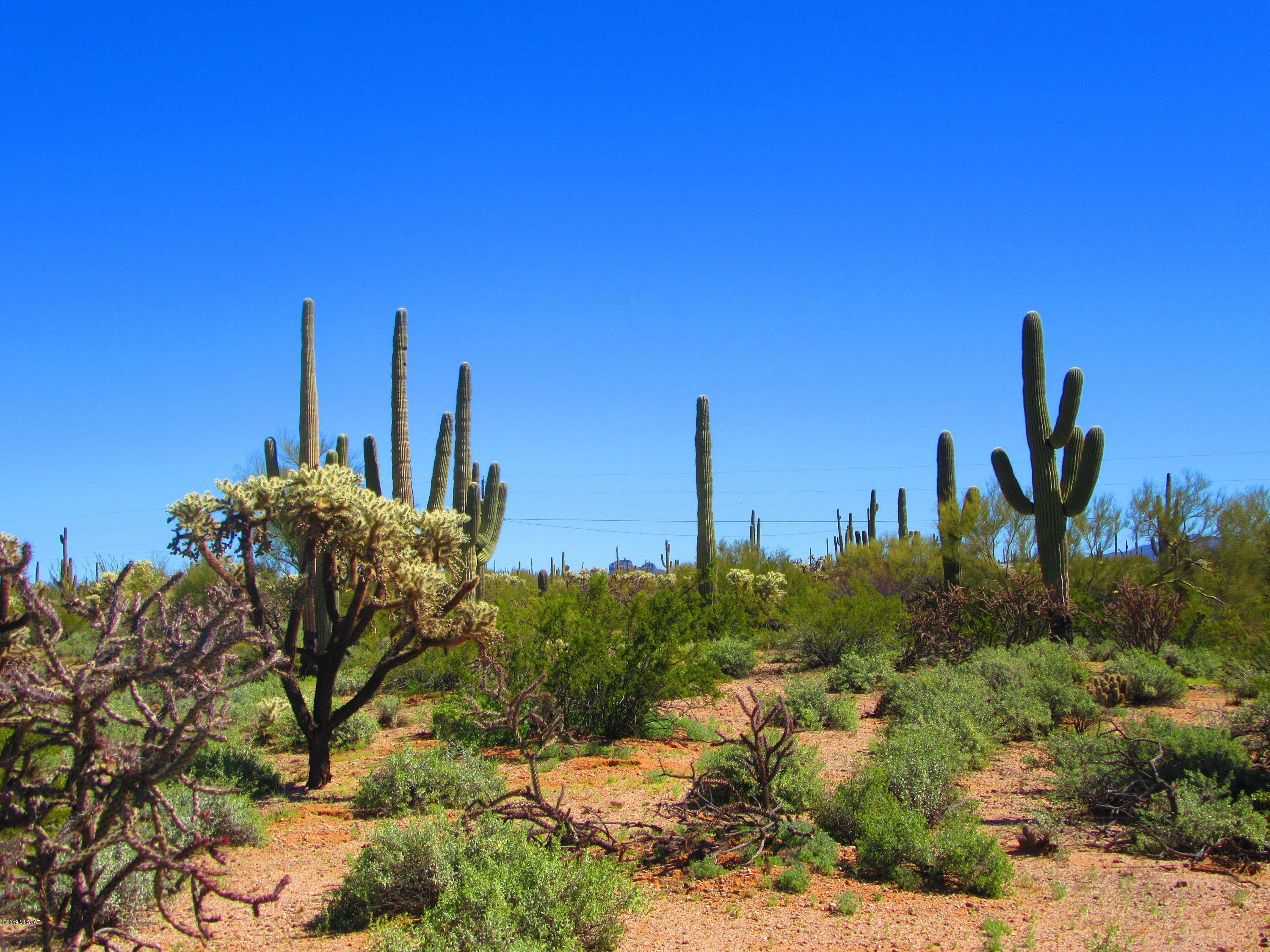 Xx South Cattle Tank Road, Unit 11 48) Marana, AZ 85658 - Photo 16 of 19