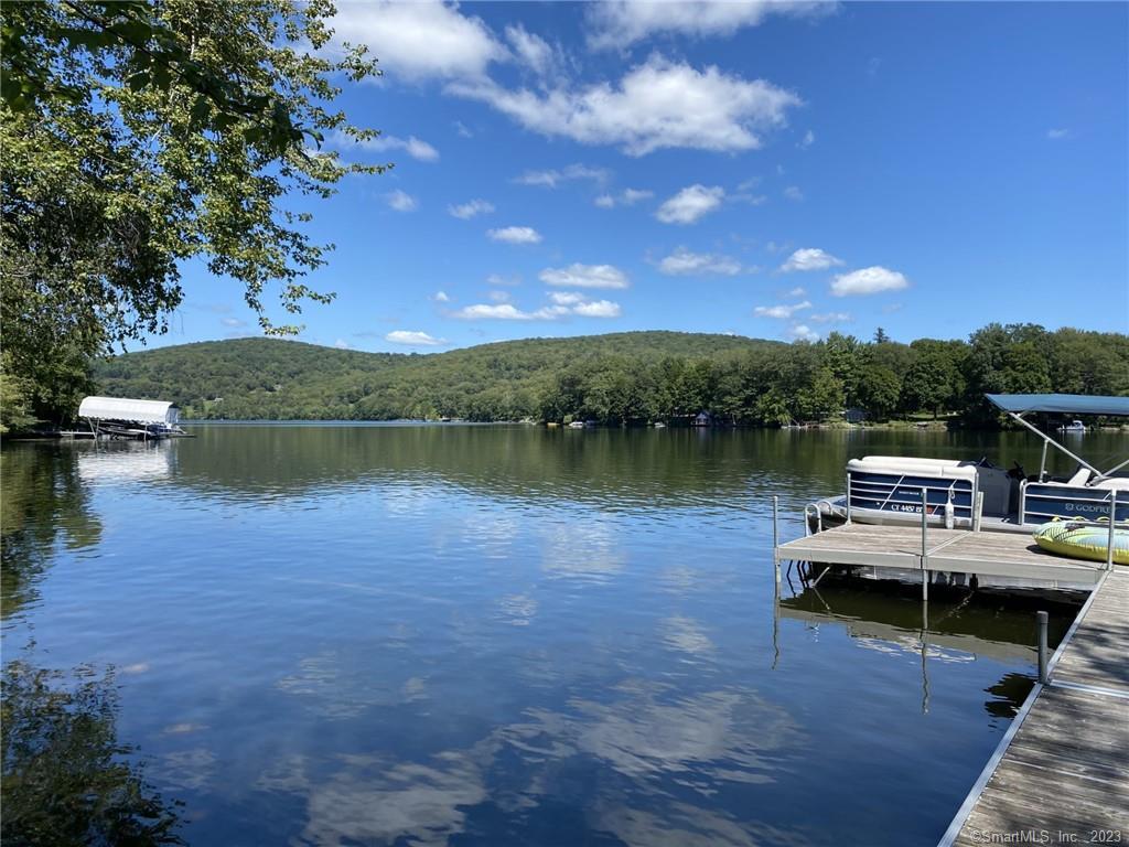 321 West Shore Road Washington, CT 06777 - Photo 2 of 38 Luxury Pontoon boat avail by seperate agreement