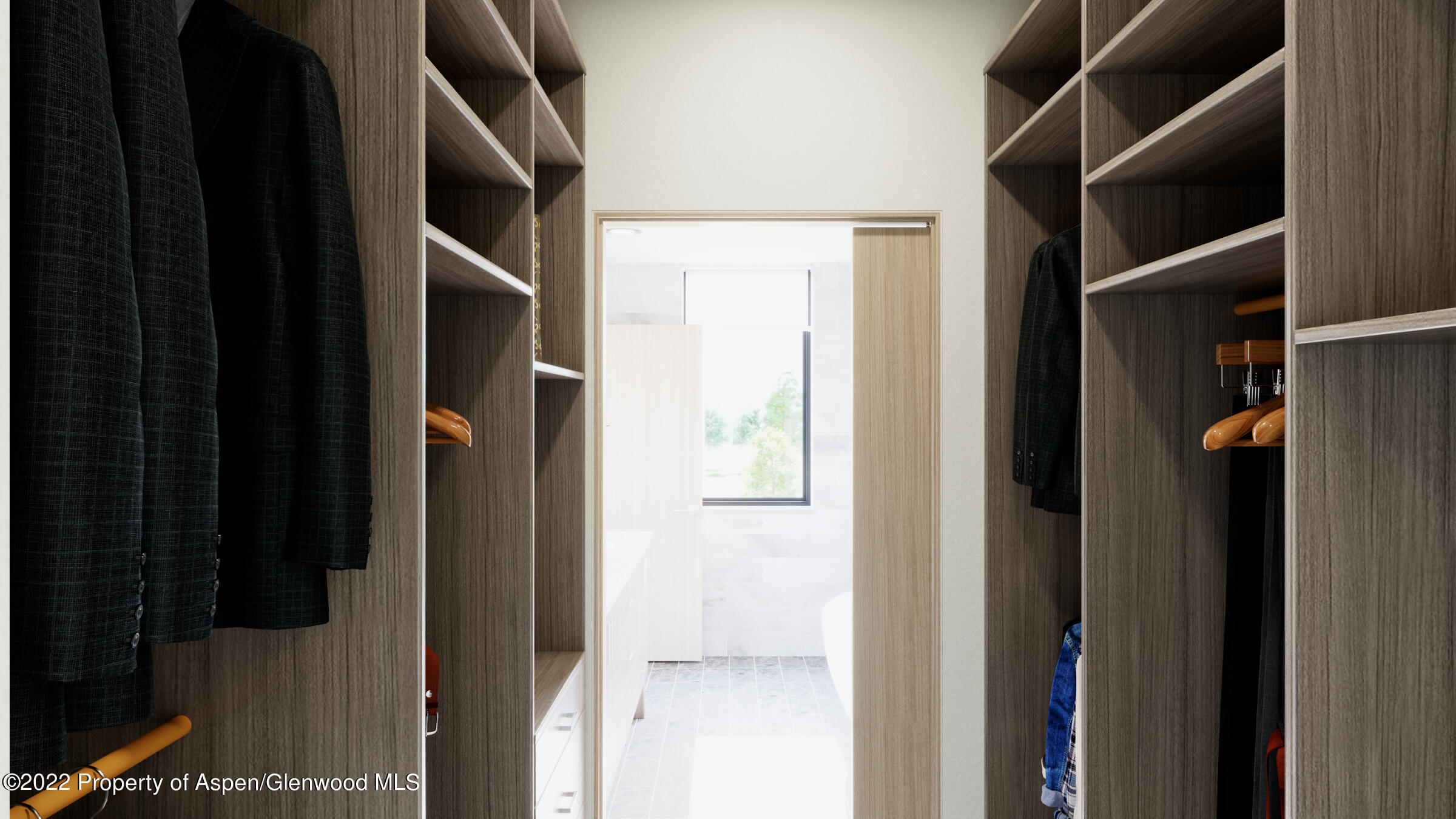 151 Lakeview Drive Basalt, CO 81621 - Photo 13 of 34 Primary Closet